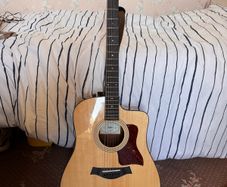 Taylor 210 CE Plus