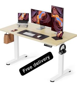 Electric Standing Desk Height Adjustable 120 x 60 cm