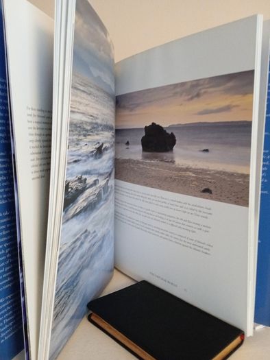 Ireland: A Luminous Beauty by Peter Harbison and Leslie Conron Carola (GT553)