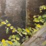 Oil on Board painting water wheel at Bayeux Normandy signed M Hughes 93 unframed Image 3