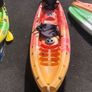 Used sit on top kayaks for sale Image 3