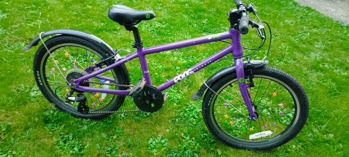 Frog 55 Bike