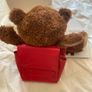 Max Mind Power Bear Image 2