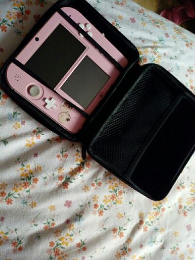 3DS cases