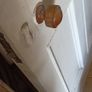 Old Solid Painted Pine Doors Image 2