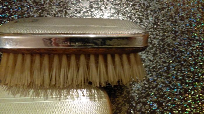 Antique Clothes Brushes