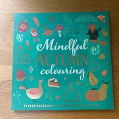 2 Adult colouring books.