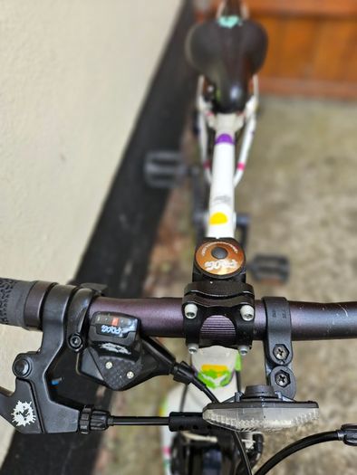 Kids Bike Frog 44