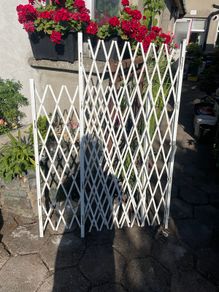 Security windows