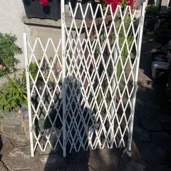 Security windows