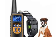 Pet Dog Anti Barking Device USB Electric Ultrasonic Dogs Training Collar Dog Stop Barking Vibration Anti Bark Collar 2