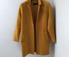 Munstard Zara jacket