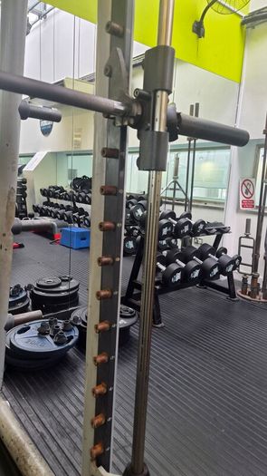 technogym smith machine top brand