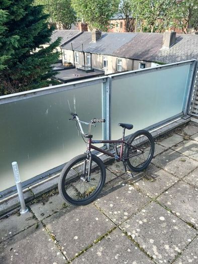 bmx 24" wheels