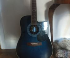 Richwood semi acoustic