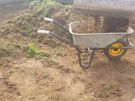 lawn care landscape and garden services Image 9