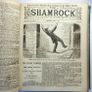 The SHAMROCK. 51 editions. National Magazine of Ireland News politics Illustrated. 1892. Rare antique book, novel. Image 6