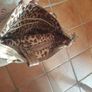Guess Womens Bag Image 3