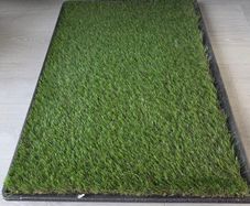 Dog pee pad / tray