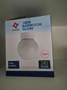 Evolec 100 Watt Globe Bathroom light fixture