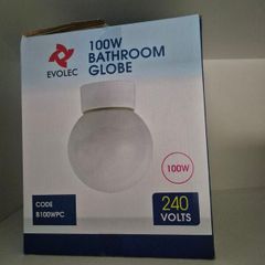 Evolec 100 Watt Globe Bathroom light fixture