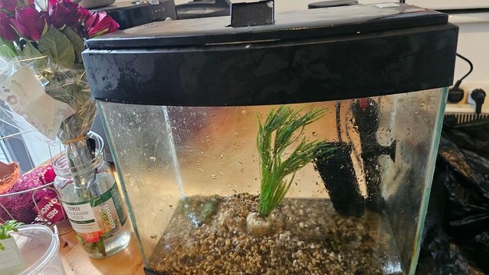 fish tank include pump and heater