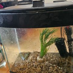 fish tank include pump and heater