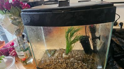 fish tank include pump and heater