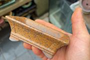bonsai pot