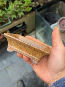 bonsai pot
