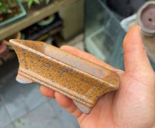 bonsai pot