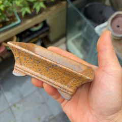 bonsai pot