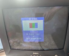 Dell  monitor