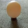 Large African Ostrich Egg Shell Image 2