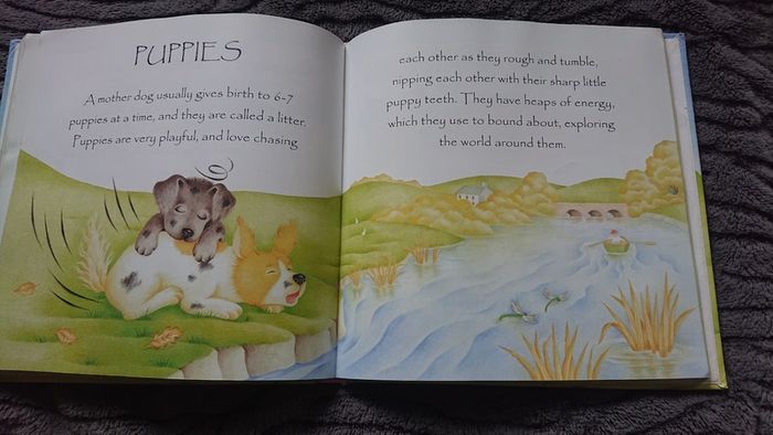 Book Animal Treasury