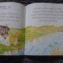 Book Animal Treasury Image 4