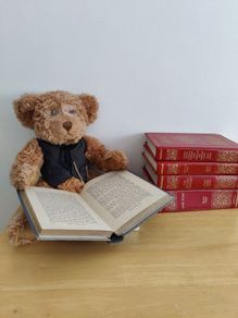Collectors bear Brown Thomas Dublin limited edition