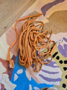 Very long dog leash - ideal for training