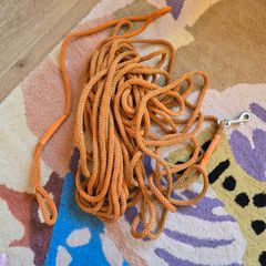 Very long dog leash - ideal for training