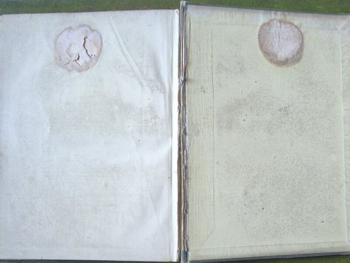 Sandow's On Physical Training. G. Mercer Adam. A. Casarin. Victorian, Physical Culture, Bodybuilding, Strongman, Gymnastics, Weightlifting, Dumbbells, Anatomy, Exercise Manual, Human Form, Photography, Antiquarian, Rare Edition, Gale Polden, London.