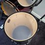 Pearl EX Export Series Drumkit Image 4