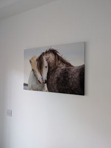 Canvas Horse lovers