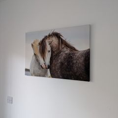 Canvas Horse lovers