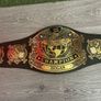 WWE undisputed title belt Image 4