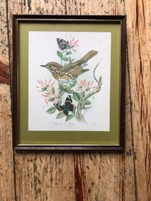 Honeysuckle and Friends by Maurice Pledger