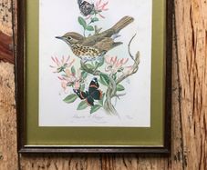 Honeysuckle and Friends by Maurice Pledger