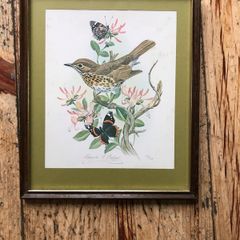 Honeysuckle and Friends by Maurice Pledger