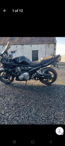 bandit 650