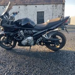 bandit 650