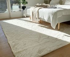 Cloud Soft Off White Rug Thick Pile Shaggy Carpet for Living Room Bedroom